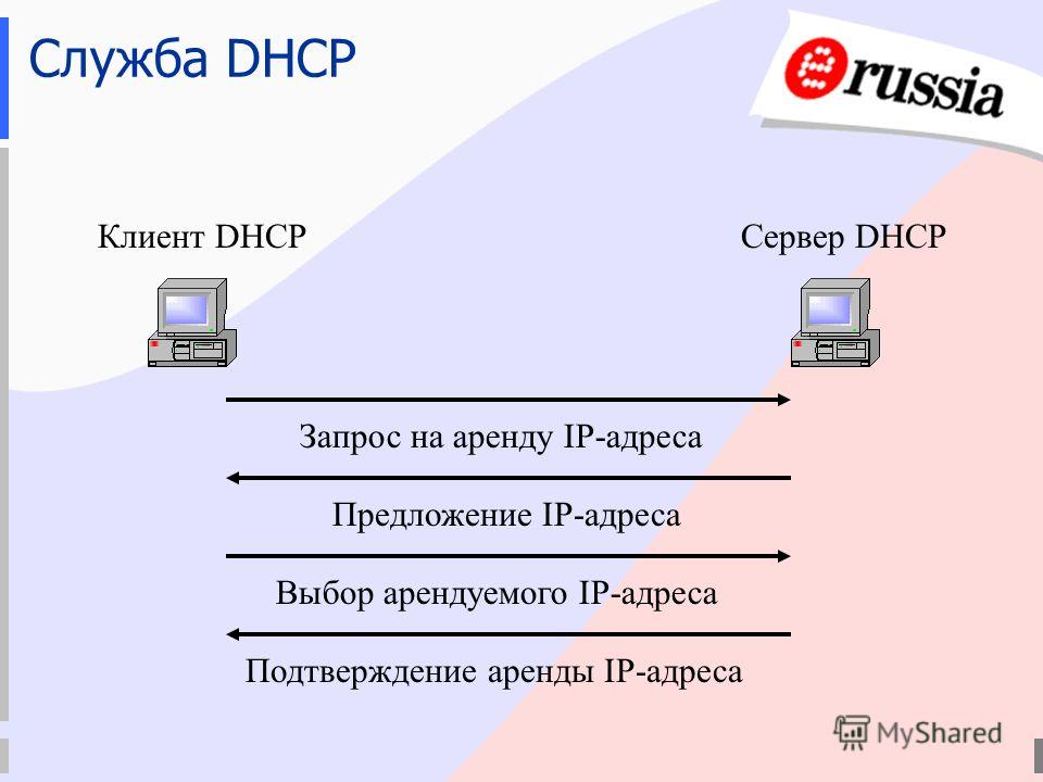 Сетевой специалист проверяет правильно ли работает dhcp клиент на компьютере он вводит команду