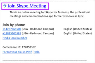 ссылка Join Skype Meeting