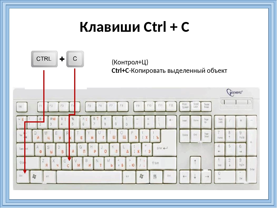 С помощью каких клавиш можно вставить