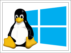 Как установить Linux рядом с Windows 10.