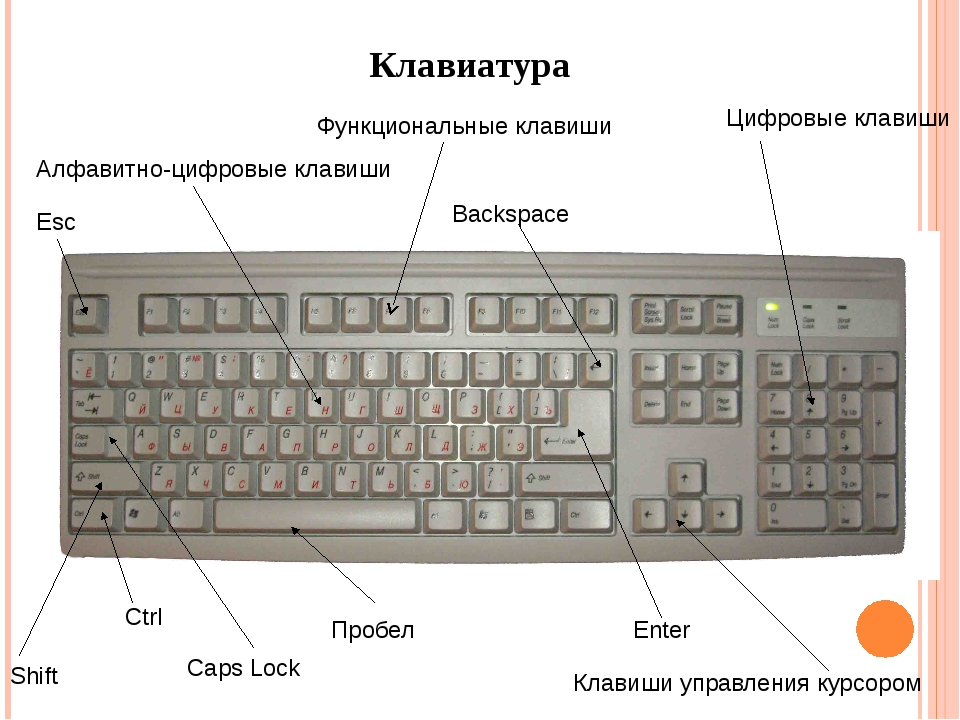 Не работает клавиша. Строение клавиатуры. Клавиатура с расположением кнопок снизу. Где на клавиатуре звук. Названия элементов клавиатуры.