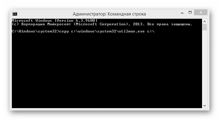 Windows 8 Консоль_1