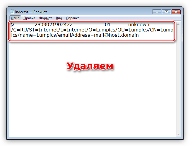 Удаление информации из файла index на сервере OpenVPN