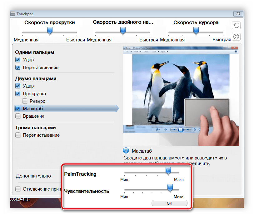 Дополнительные настройки тачпада Windows