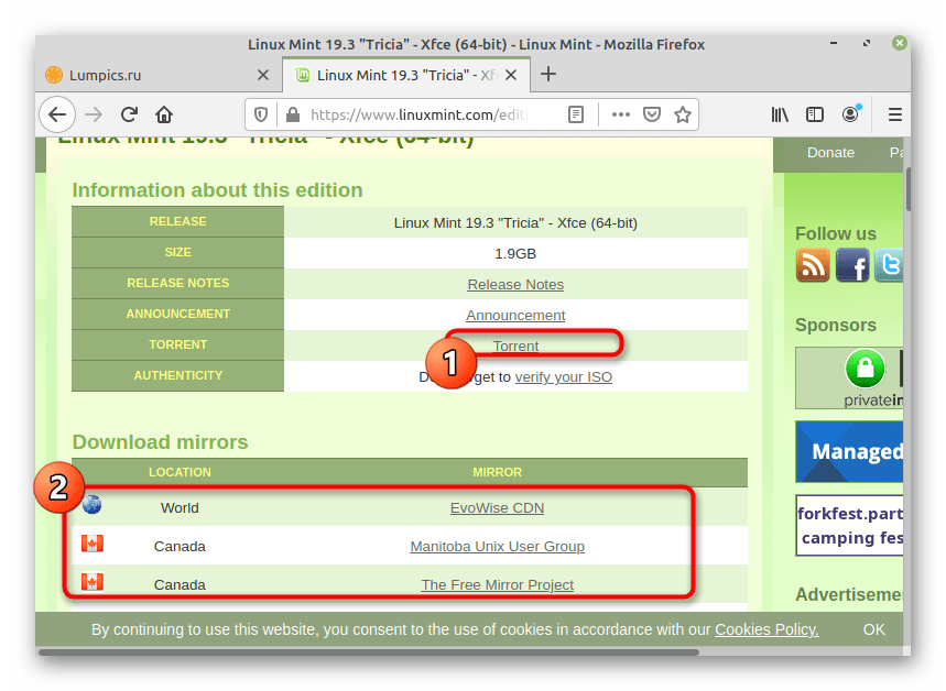 Скачивание версии дистрибутива с официального сайта для Linux Mint рядом с Linux Mint