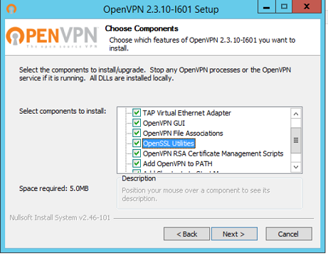 OpenVPN Setup