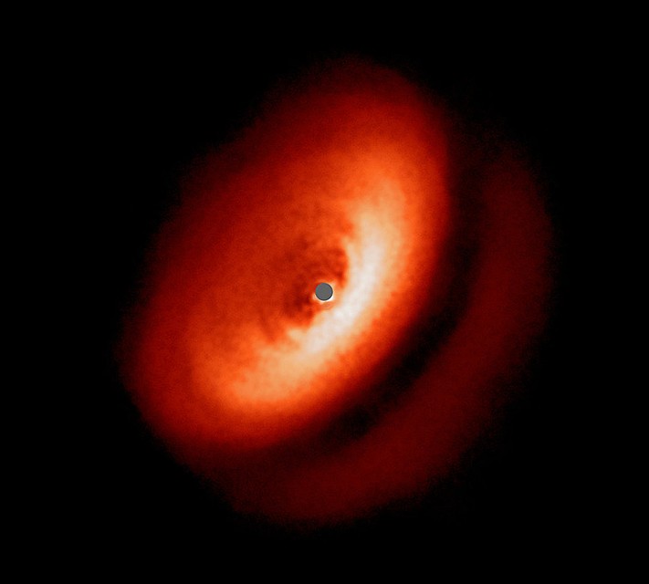 Красный ореол – это пыльный диск вокруг молодой звезды Фото: NASA