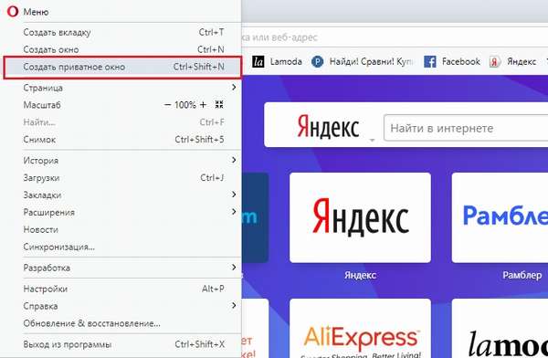 Создание приватного окна в Опере 