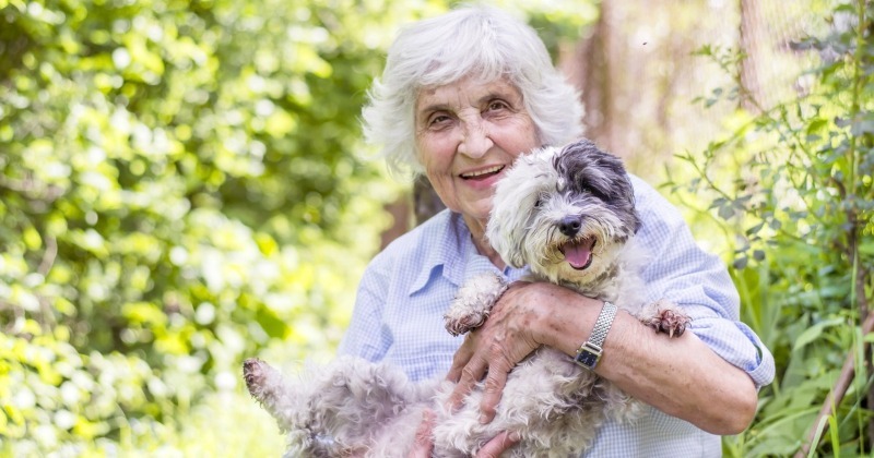 Пенсионерка принесла в клинику старую собачку, оказалось, что помощь нужна была не животному