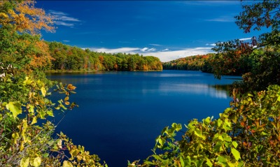 озеро лес осень листья