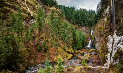 лес горы водопад деревья